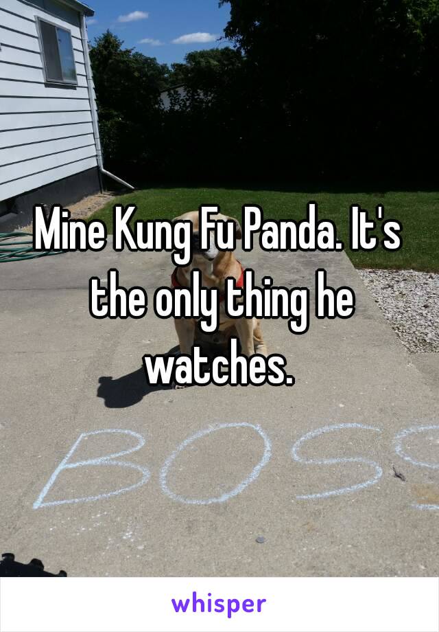 Mine Kung Fu Panda. It's the only thing he watches. 