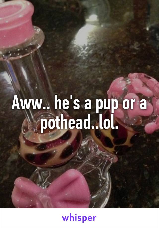 Aww.. he's a pup or a pothead..lol.