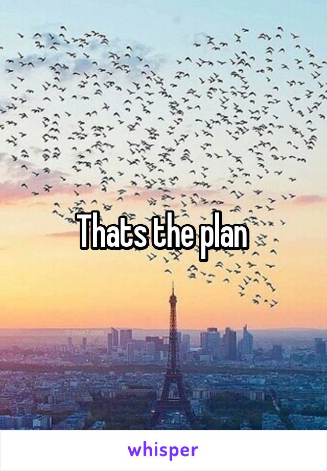 Thats the plan 