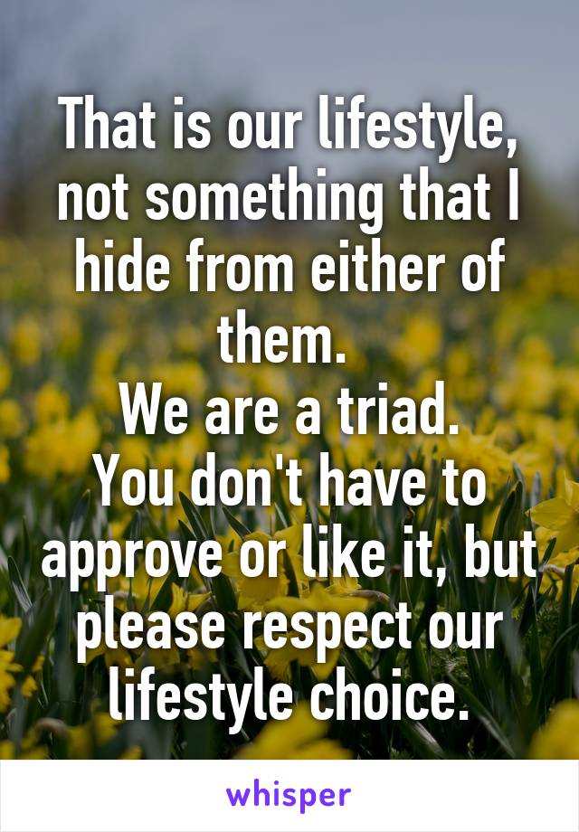 That is our lifestyle, not something that I hide from either of them. 
We are a triad.
You don't have to approve or like it, but please respect our lifestyle choice.