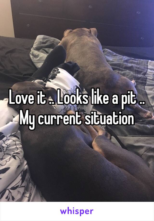 Love it .. Looks like a pit .. My current situation 