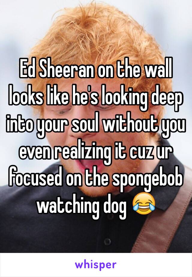 Ed Sheeran on the wall looks like he's looking deep into your soul without you even realizing it cuz ur focused on the spongebob watching dog 😂