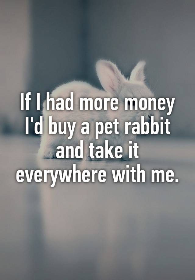 if-i-had-more-money-i-d-buy-a-pet-rabbit-and-take-it-everywhere-with-me