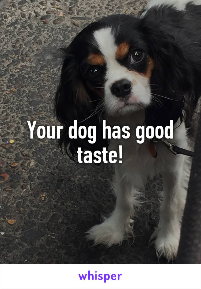 Your dog has good taste!