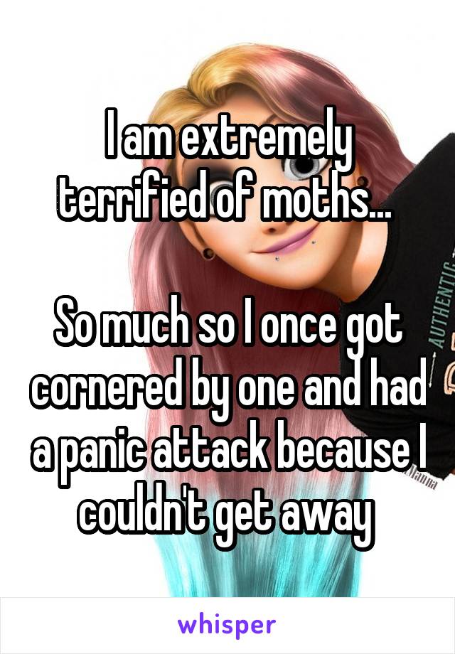 I am extremely terrified of moths... 

So much so I once got cornered by one and had a panic attack because I couldn't get away 