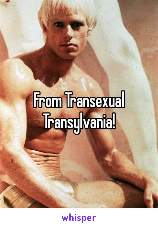 From Transexual Transylvania!