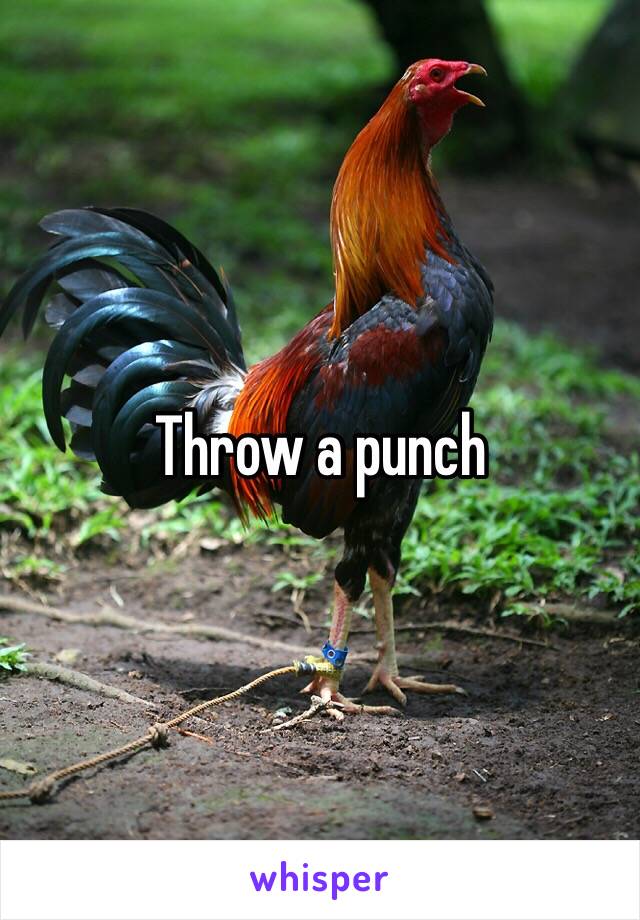 Throw a punch