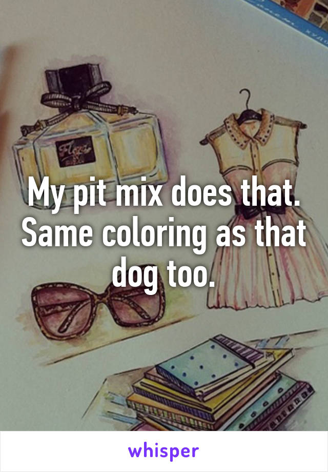 My pit mix does that. Same coloring as that dog too.