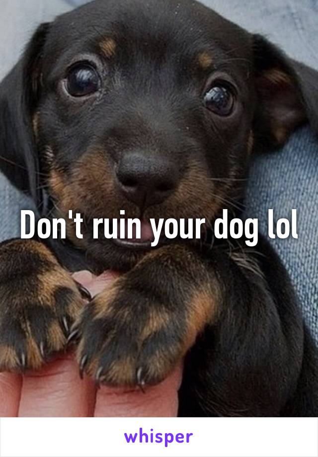 Don't ruin your dog lol