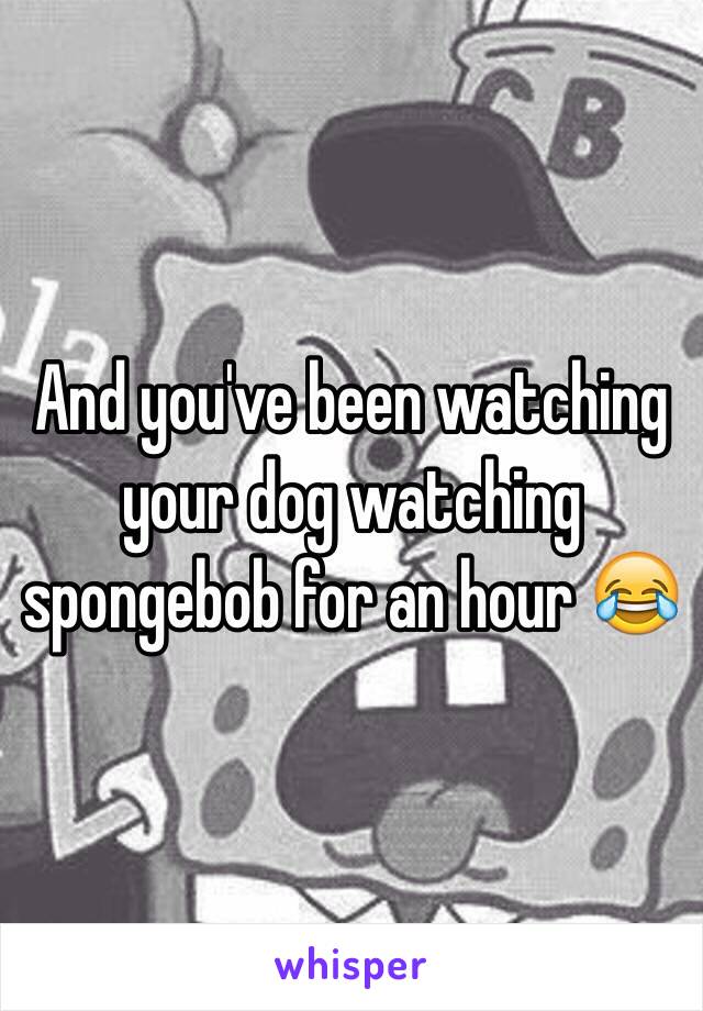 And you've been watching your dog watching spongebob for an hour 😂