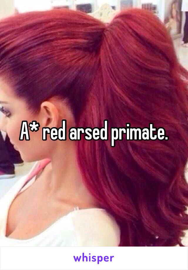 A* red arsed primate.