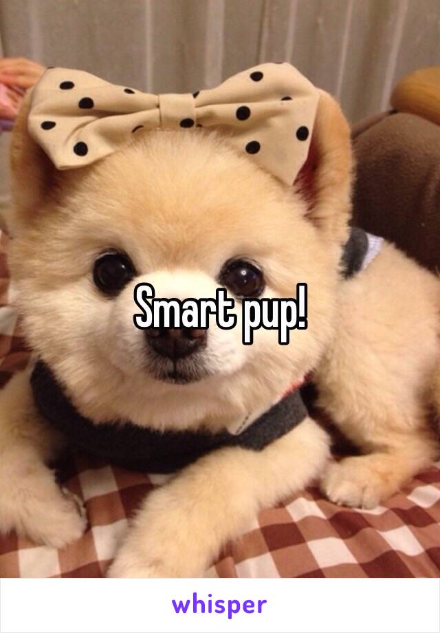 Smart pup!