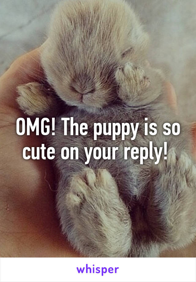 OMG! The puppy is so cute on your reply! 