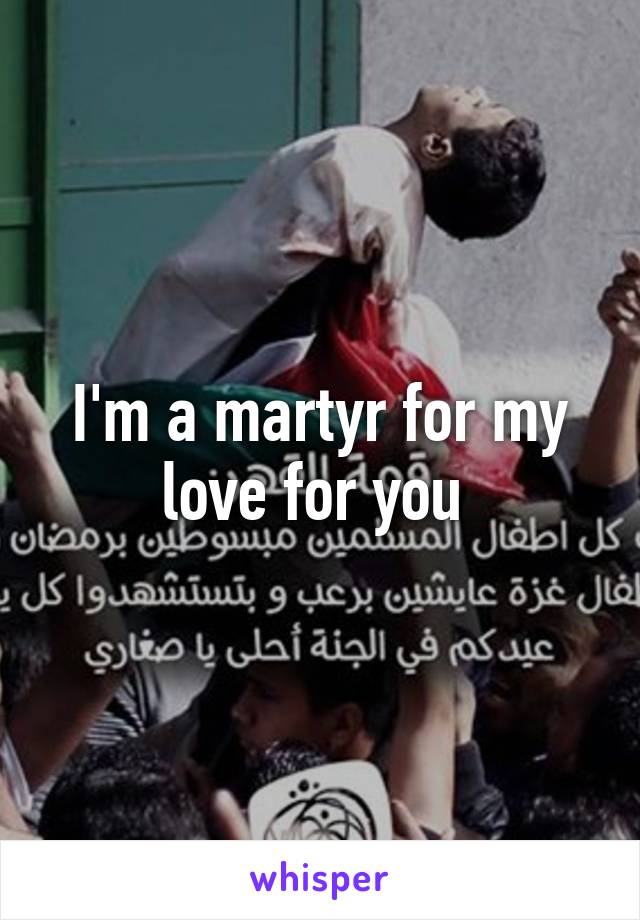 I'm a martyr for my love for you 