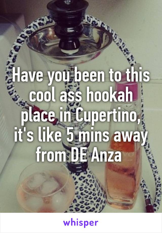 Have you been to this cool ass hookah place in Cupertino, it's like 5 mins away from DE Anza 