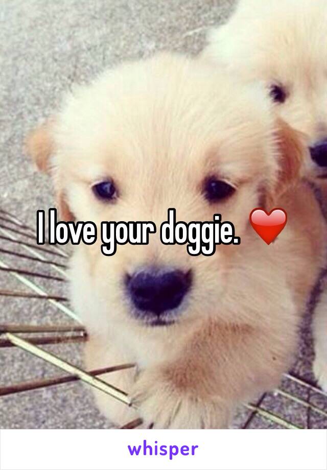 I love your doggie. ❤️