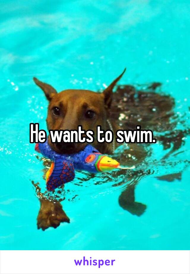 He wants to swim.