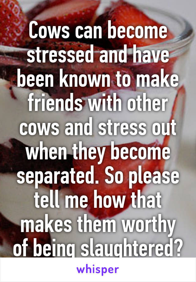 Cows can become stressed and have been known to make friends with other cows and stress out when they become separated. So please tell me how that makes them worthy of being slaughtered?