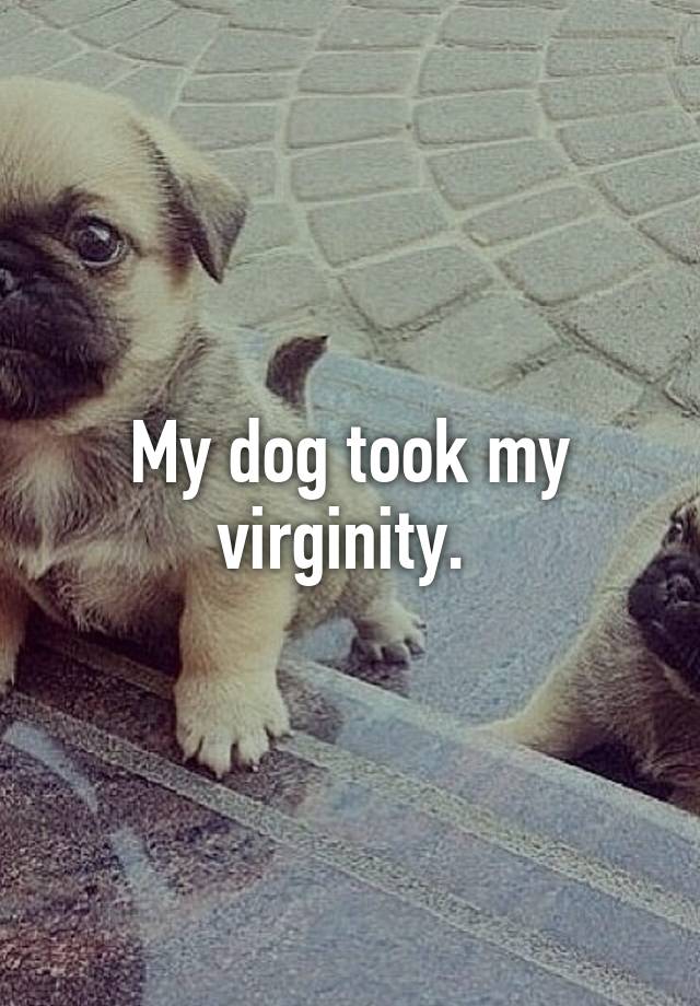 My dog took my virginity.