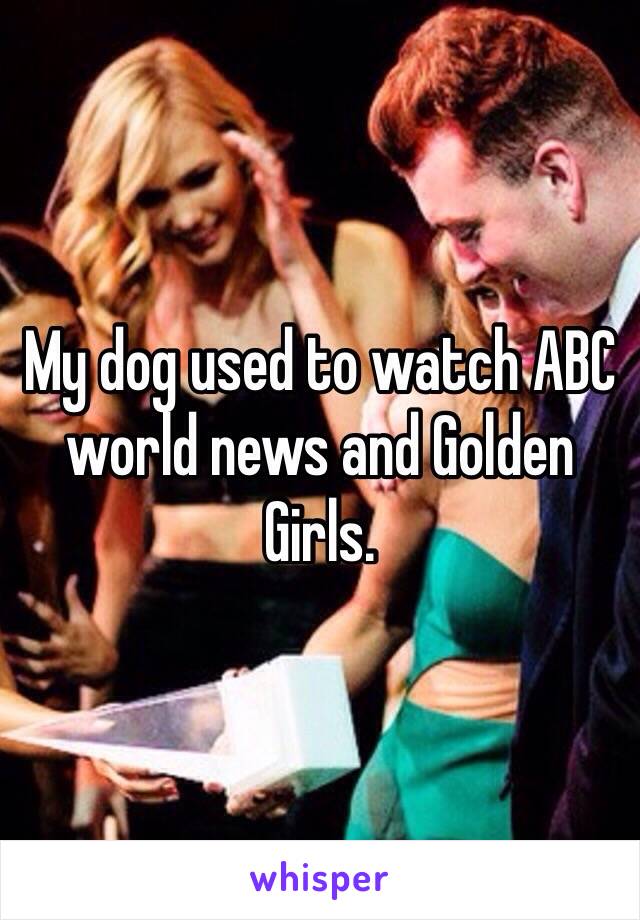 My dog used to watch ABC world news and Golden Girls.