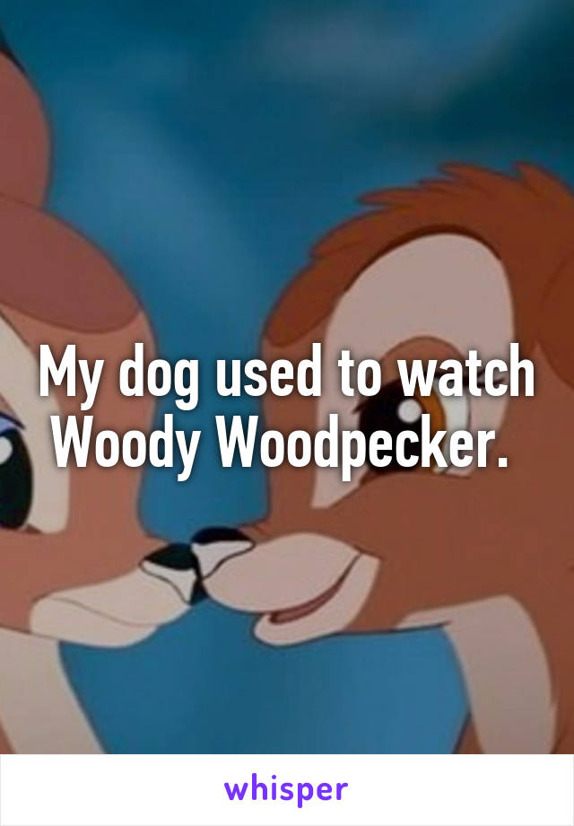 My dog used to watch Woody Woodpecker. 