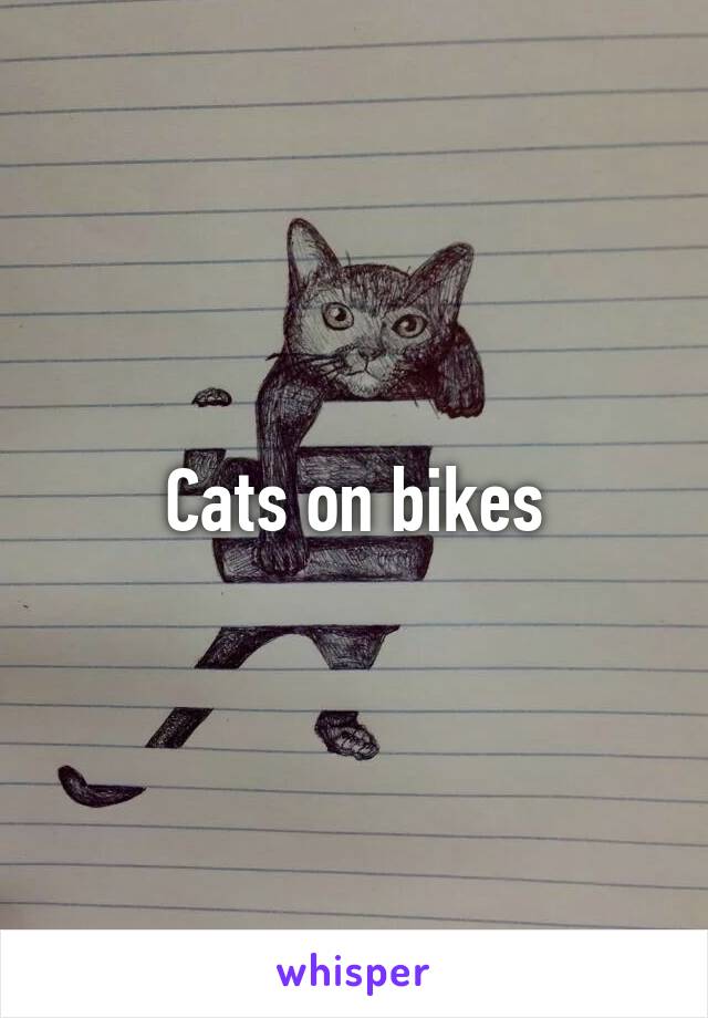 Cats on bikes