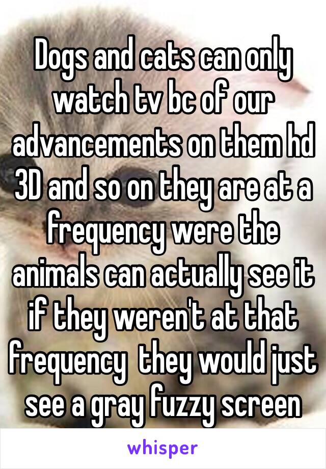 Dogs and cats can only watch tv bc of our advancements on them hd 3D and so on they are at a frequency were the animals can actually see it if they weren't at that frequency  they would just see a gray fuzzy screen 