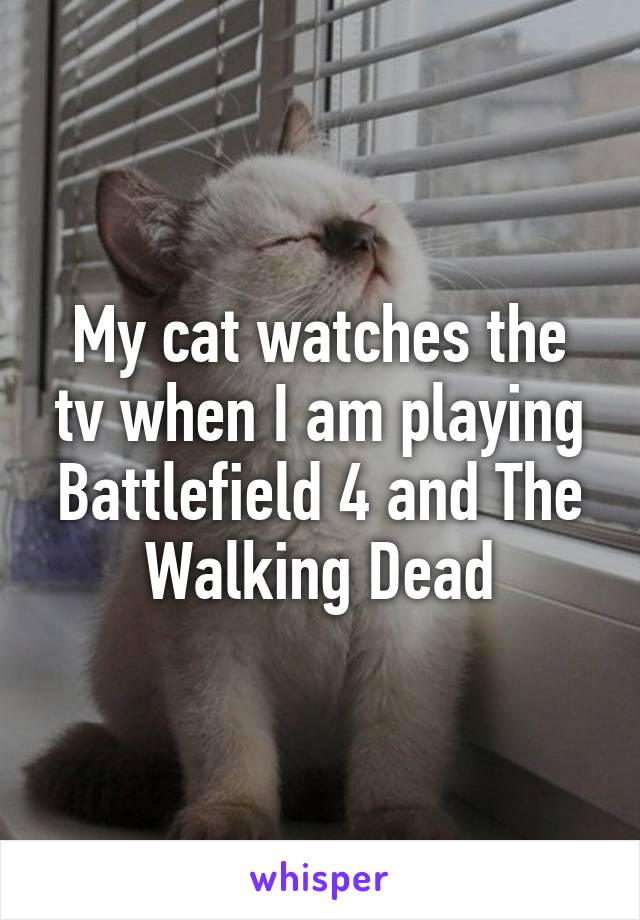 My cat watches the tv when I am playing Battlefield 4 and The Walking Dead