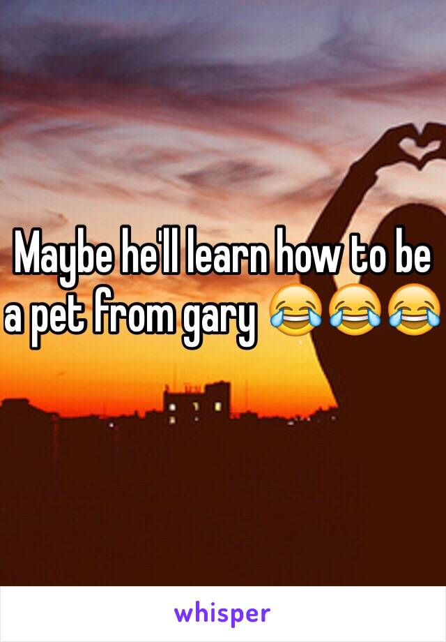 Maybe he'll learn how to be a pet from gary 😂😂😂