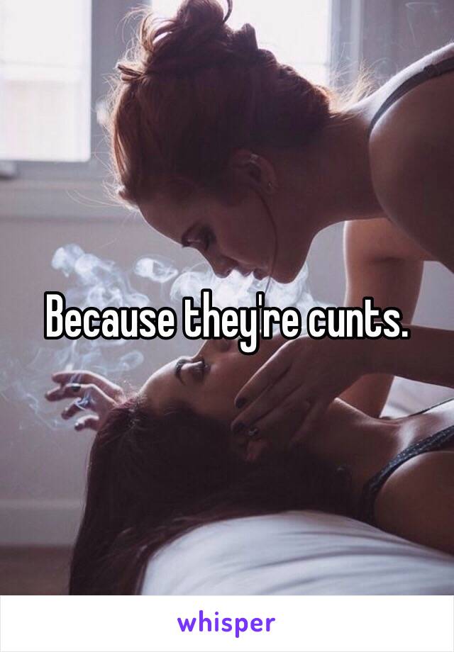 Because they're cunts. 