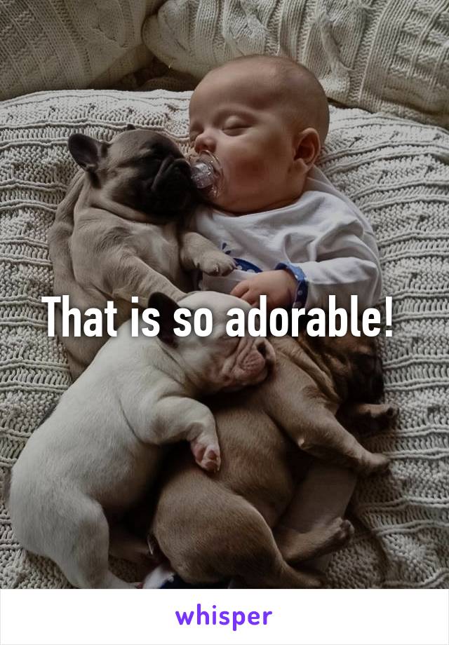 That is so adorable! 