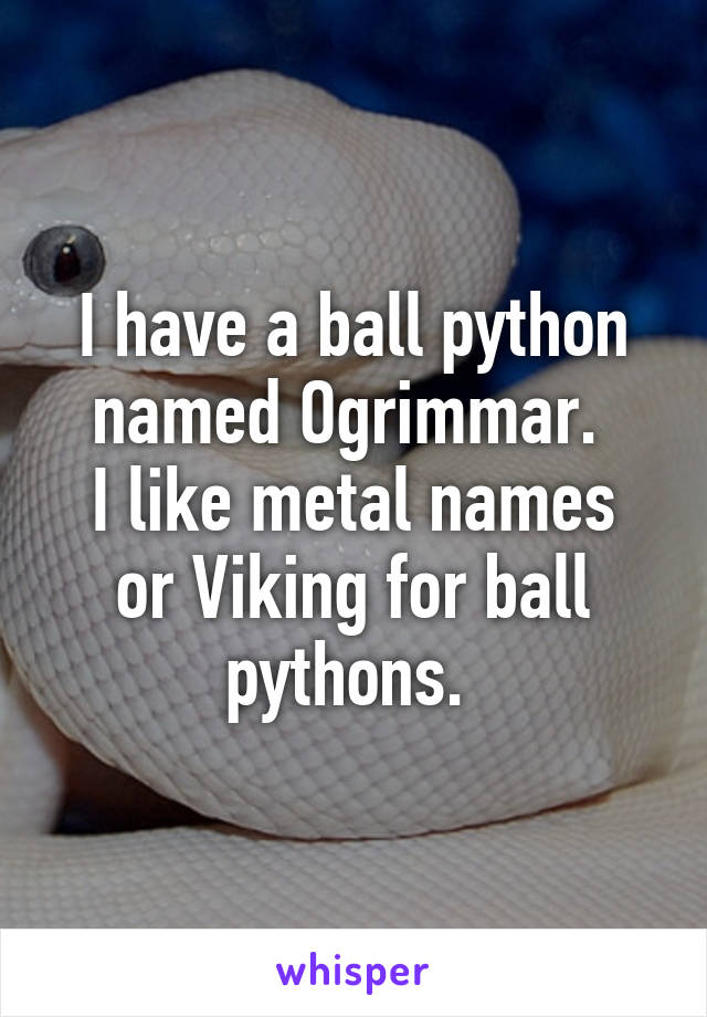 I have a ball python named Ogrimmar. 
I like metal names or Viking for ball pythons. 