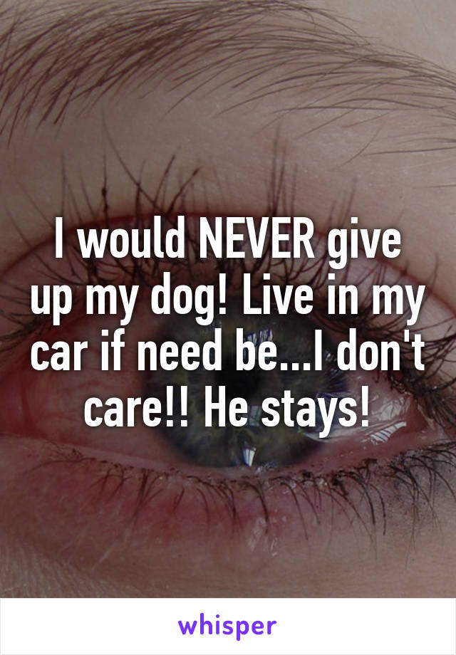 I would NEVER give up my dog! Live in my car if need be...I don't care!! He stays!