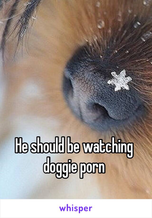 He should be watching doggie porn