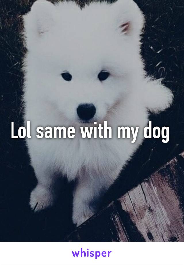 Lol same with my dog 