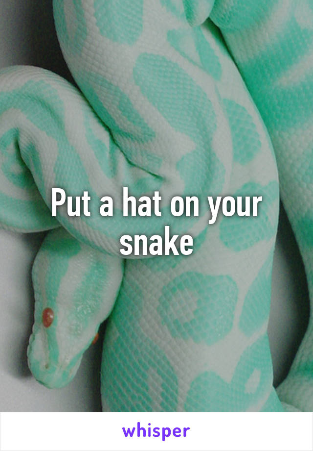 Put a hat on your snake