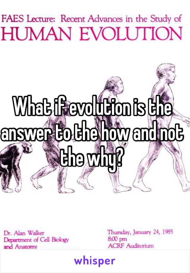 What if evolution is the answer to the how and not the why?