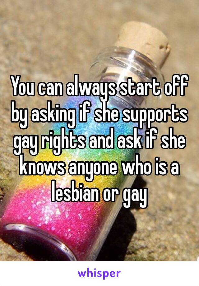 You can always start off by asking if she supports gay rights and ask if she knows anyone who is a lesbian or gay