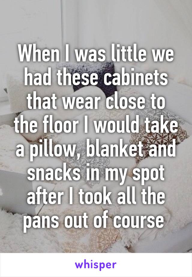 When I was little we had these cabinets that wear close to the floor I would take a pillow, blanket and snacks in my spot after I took all the pans out of course 