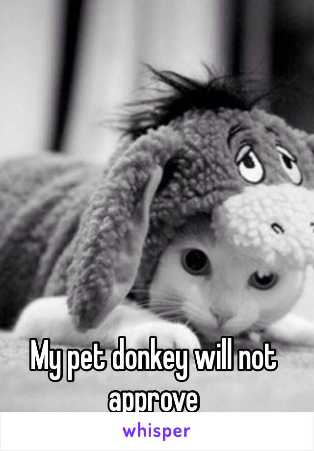 My pet donkey will not approve 