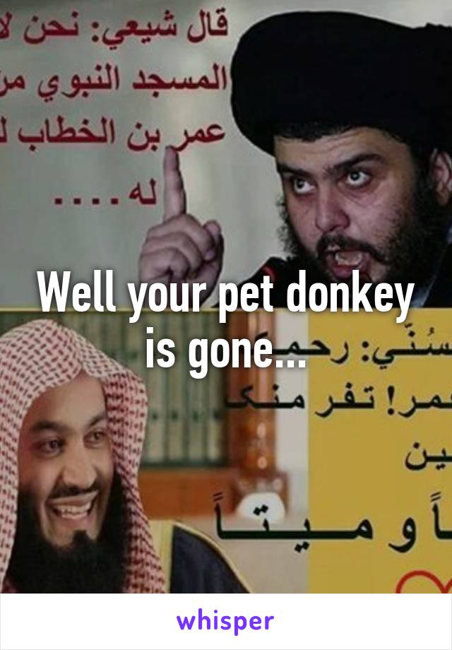 Well your pet donkey is gone...