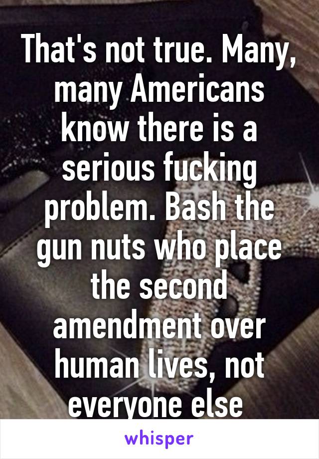 That's not true. Many, many Americans know there is a serious fucking problem. Bash the gun nuts who place the second amendment over human lives, not everyone else 