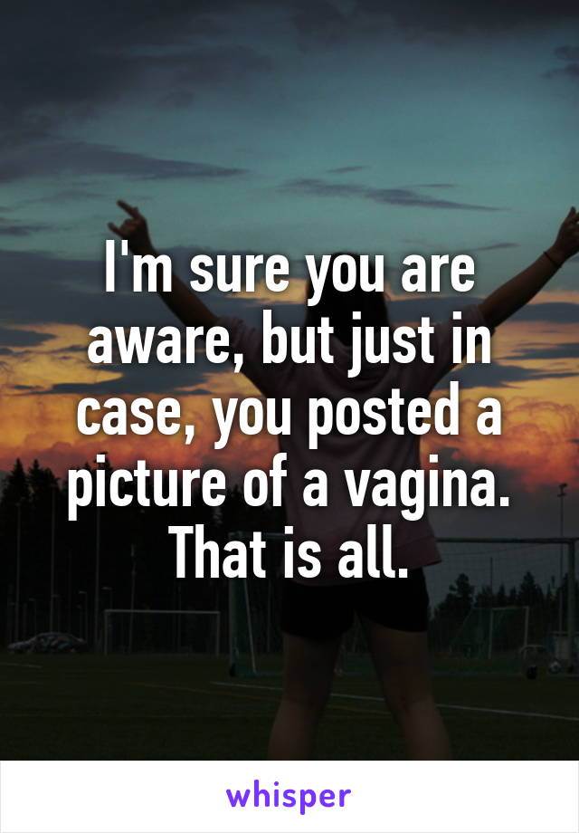 I'm sure you are aware, but just in case, you posted a picture of a vagina. That is all.