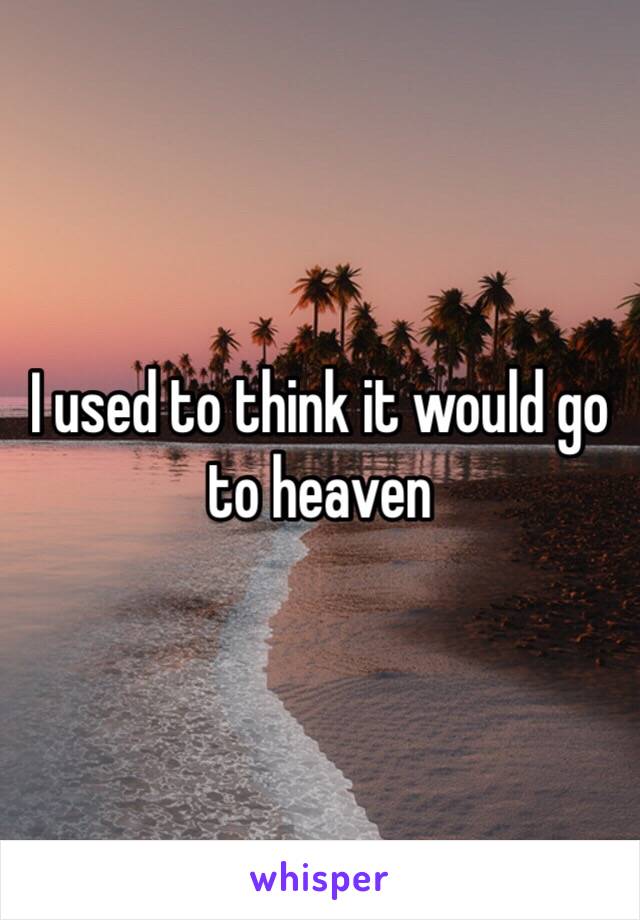 I used to think it would go to heaven 