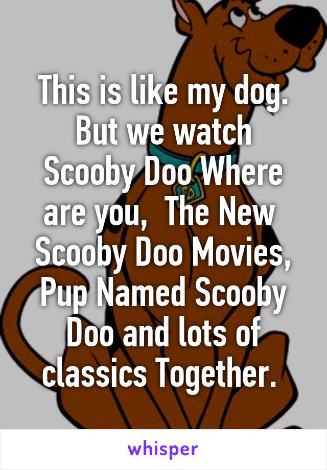 This is like my dog.
But we watch Scooby Doo Where are you,  The New  Scooby Doo Movies, Pup Named Scooby Doo and lots of classics Together. 