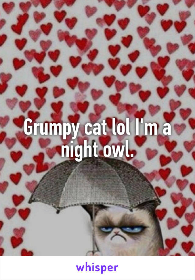 Grumpy cat lol I'm a night owl.
