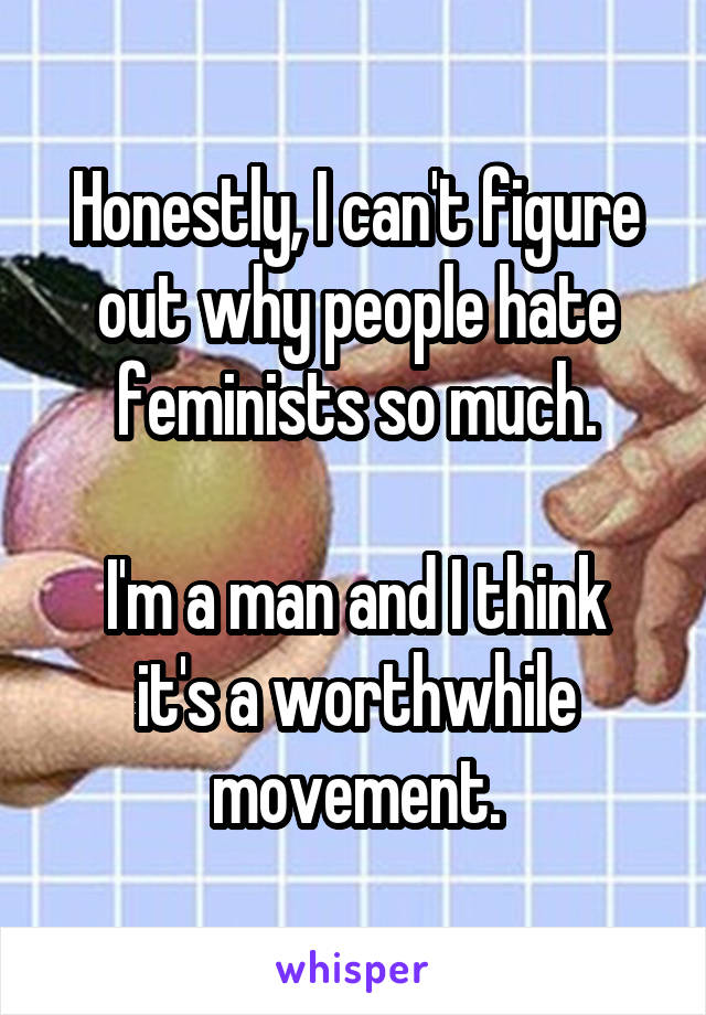 Honestly, I can't figure out why people hate feminists so much.

I'm a man and I think it's a worthwhile movement.
