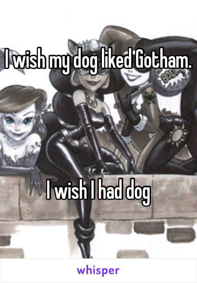 I wish my dog liked Gotham. 




I wish I had dog 
