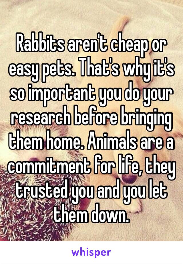 Rabbits aren't cheap or easy pets. That's why it's so important you do your research before bringing them home. Animals are a commitment for life, they trusted you and you let them down.