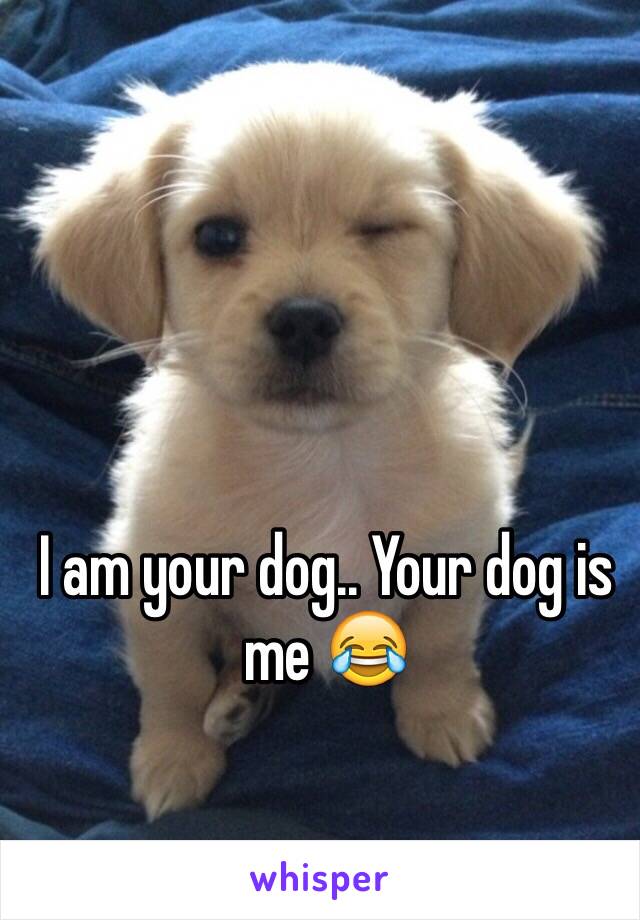 I am your dog.. Your dog is me 😂